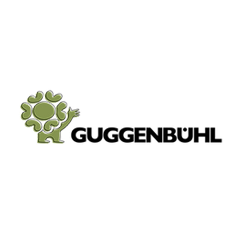 Sponsor_Guggenbühl